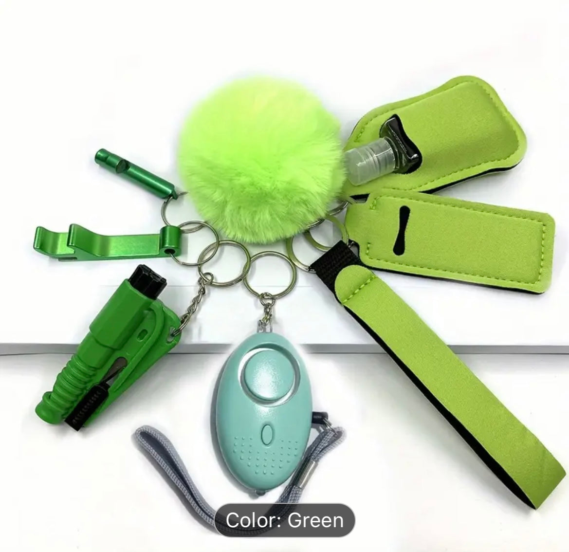 10 Piece Basic Safety Keychain