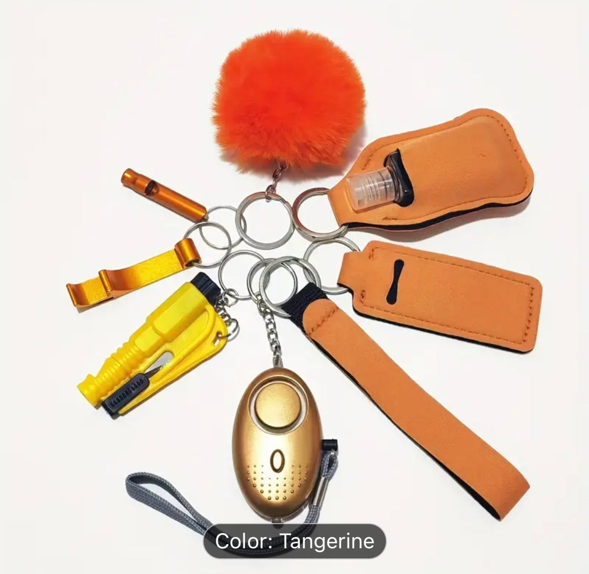 10 Piece Basic Safety Keychain