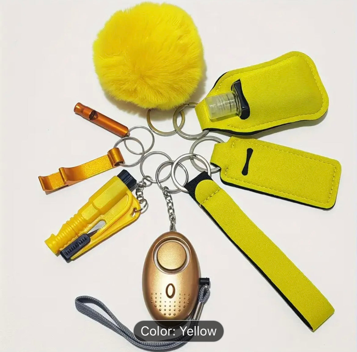 10 Piece Basic Safety Keychain